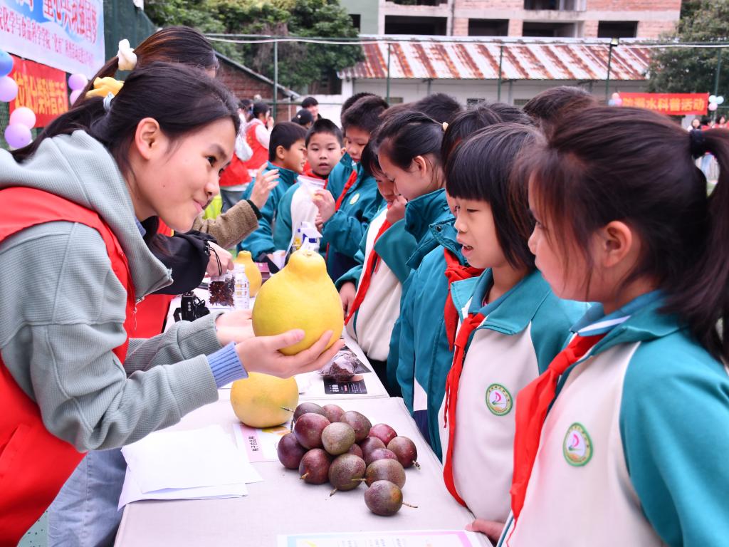 FUN88乐天使在线登录
