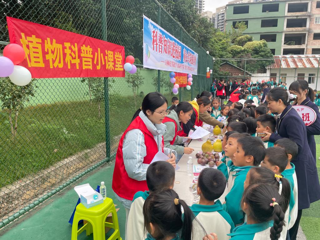 FUN88乐天使在线登录