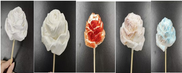 FUN88乐天使在线登录