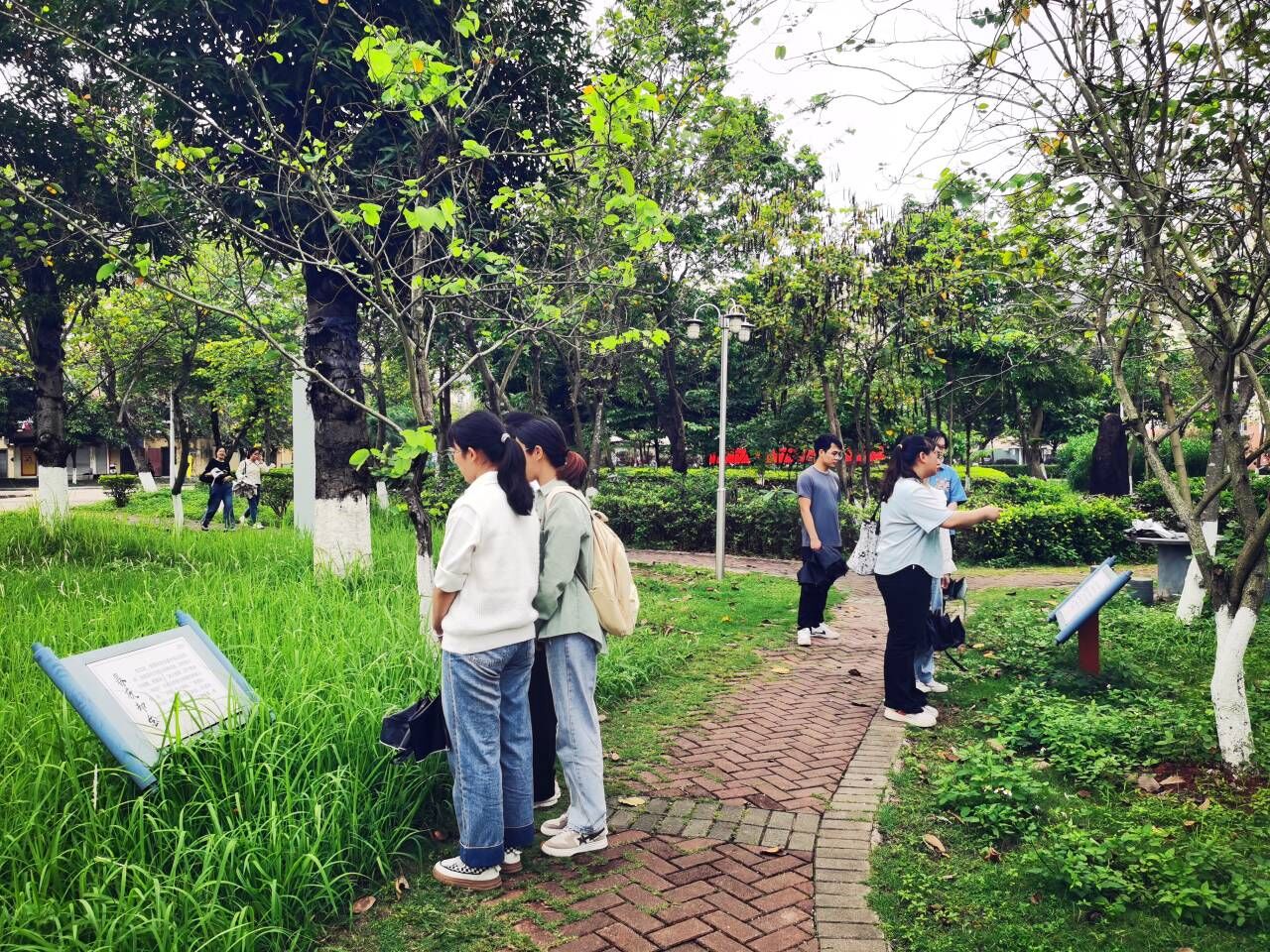 FUN88乐天使在线登录