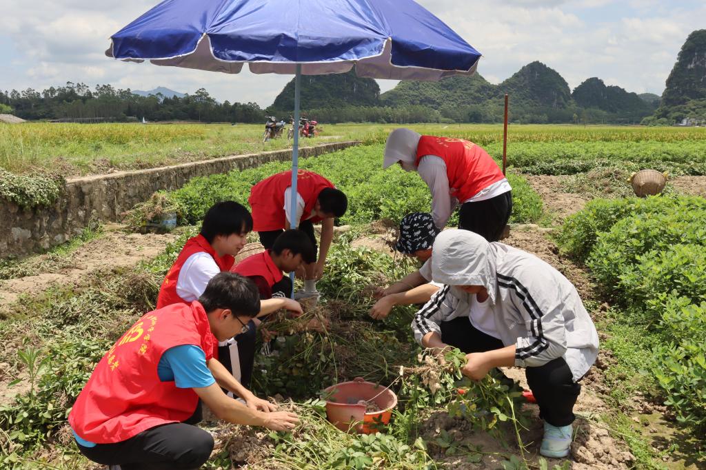FUN88乐天使在线登录