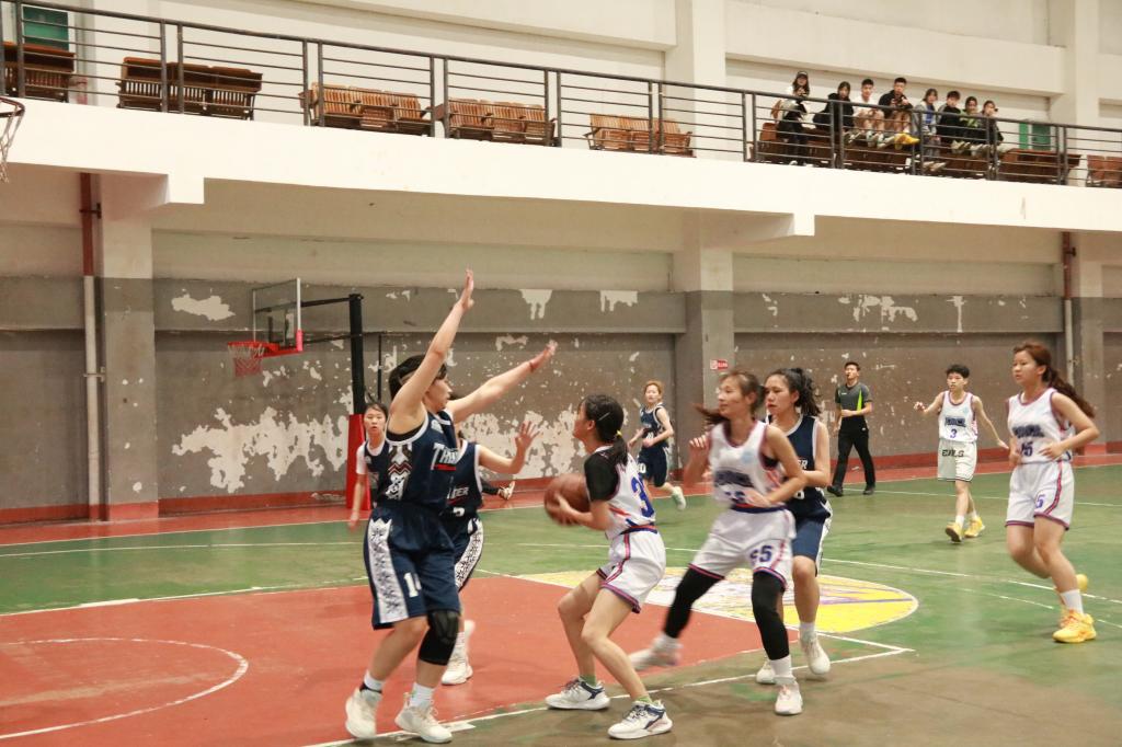 FUN88乐天使在线登录